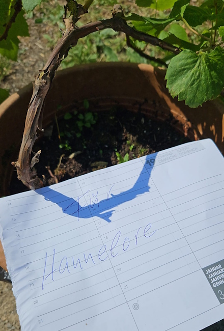 BergGartenOase