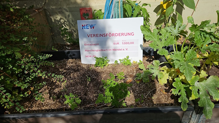 NEW-Vereinsförderung